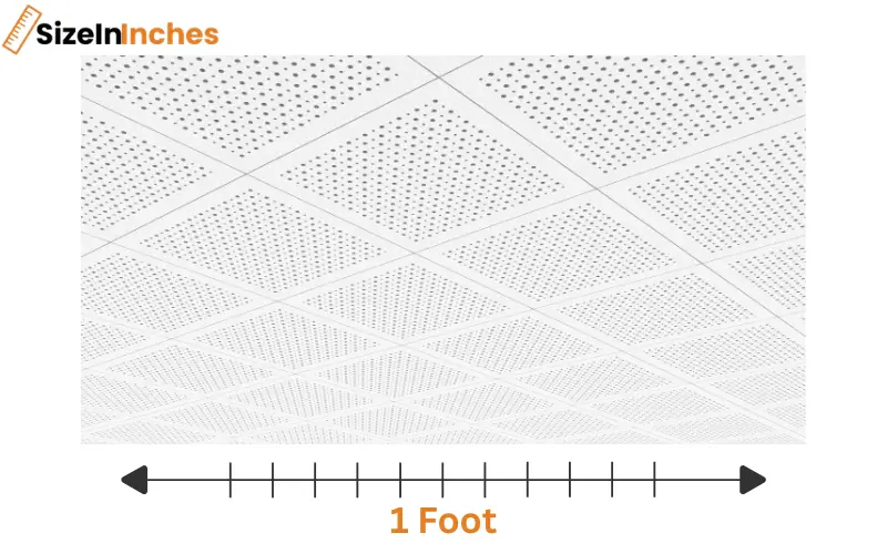 how long is 1 foot