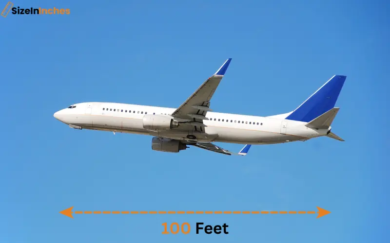 how long is 100 feet