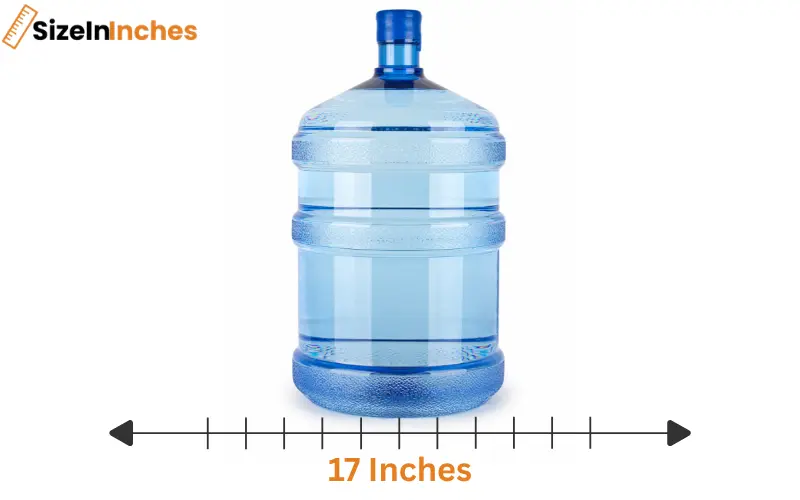 how long is 17 inches