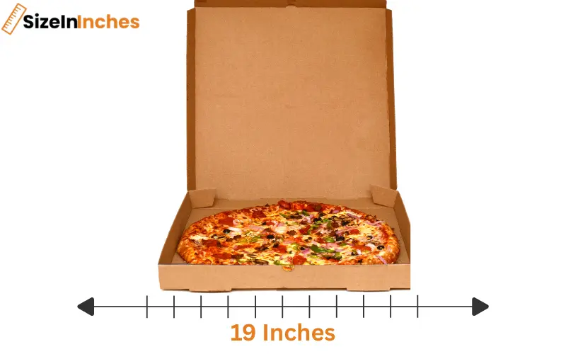 how long is 19 inches