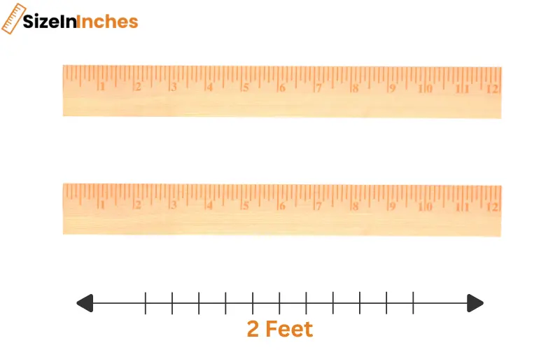 how long is 2 feet