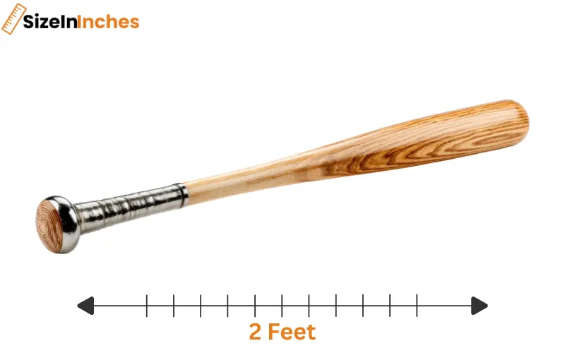 how long is 2 feet