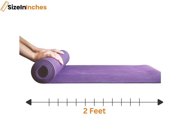 how long is 2 feet