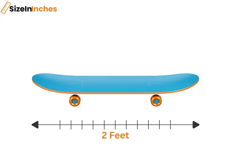 how long is 2 feet