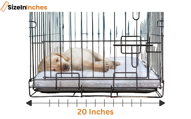 how long is 20 inches
