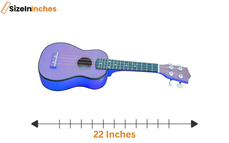 how long is 22 inches