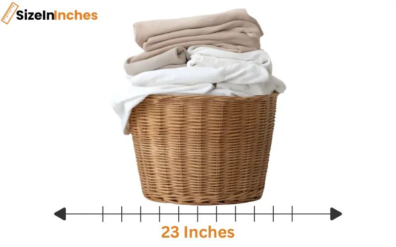 how long is 23 inches
