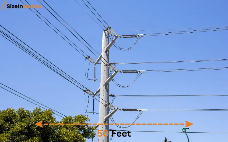 how long is 50 feet