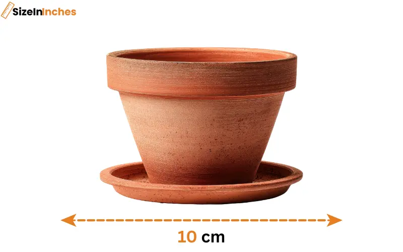 how big is 10 cm