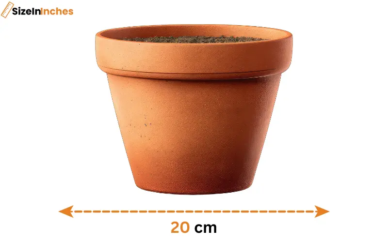 how big is 20 cm
