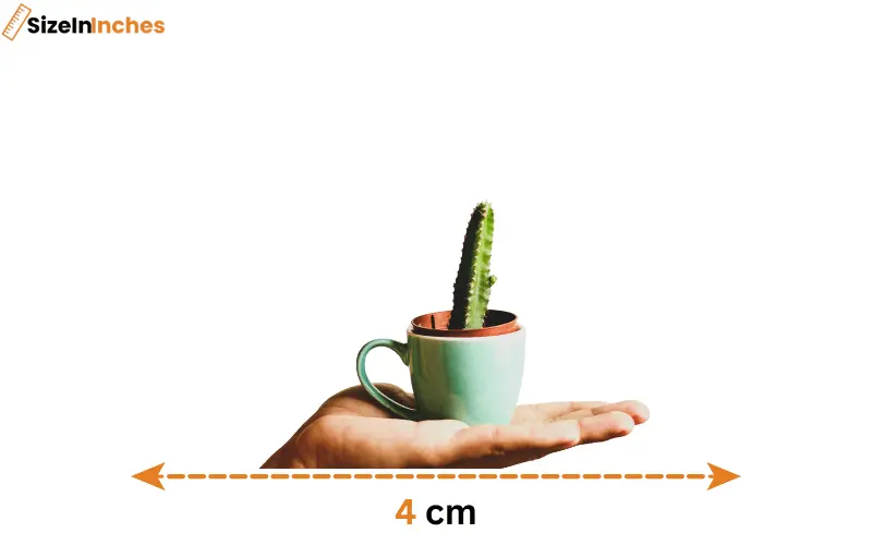 how big is 4 cm