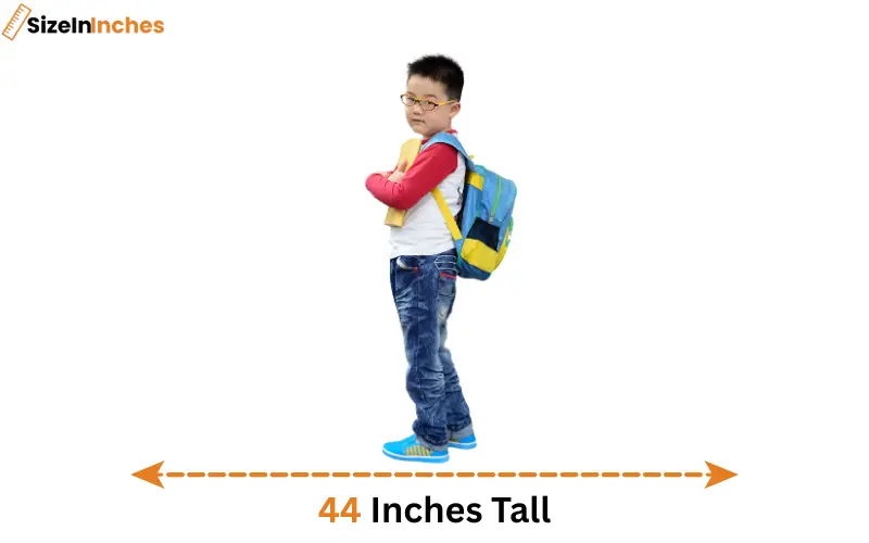 how tall is 44 inches