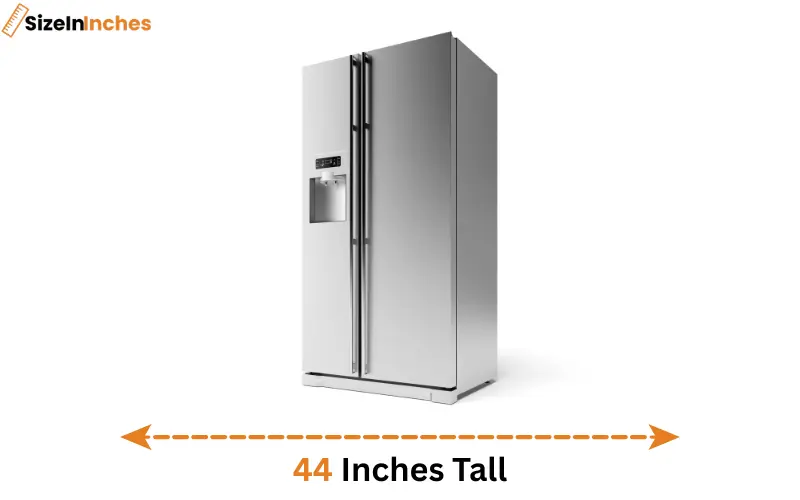 how tall is 44 inches