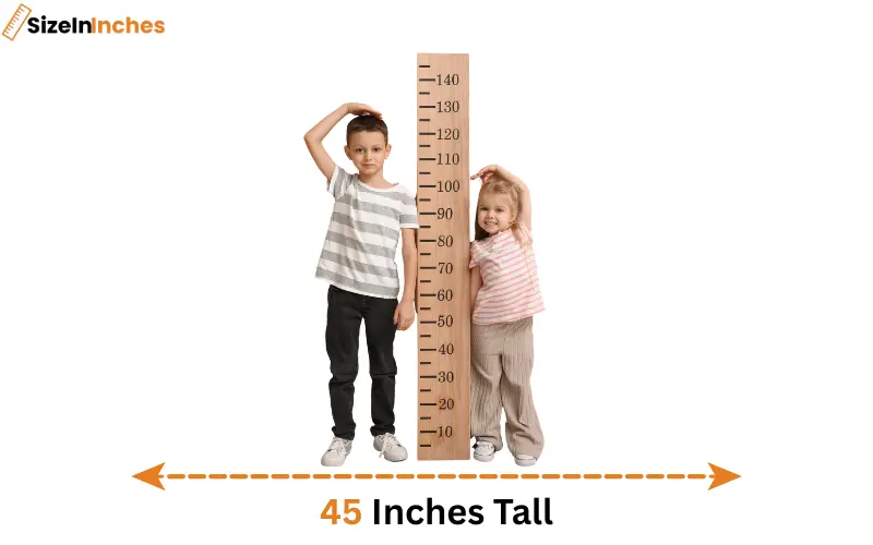 how tall is 45 inches