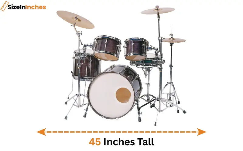 how tall is 45 inches
